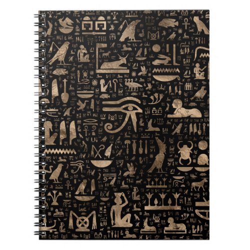 Ancient Egyptian hieroglyphs _ Black and gold Notebook