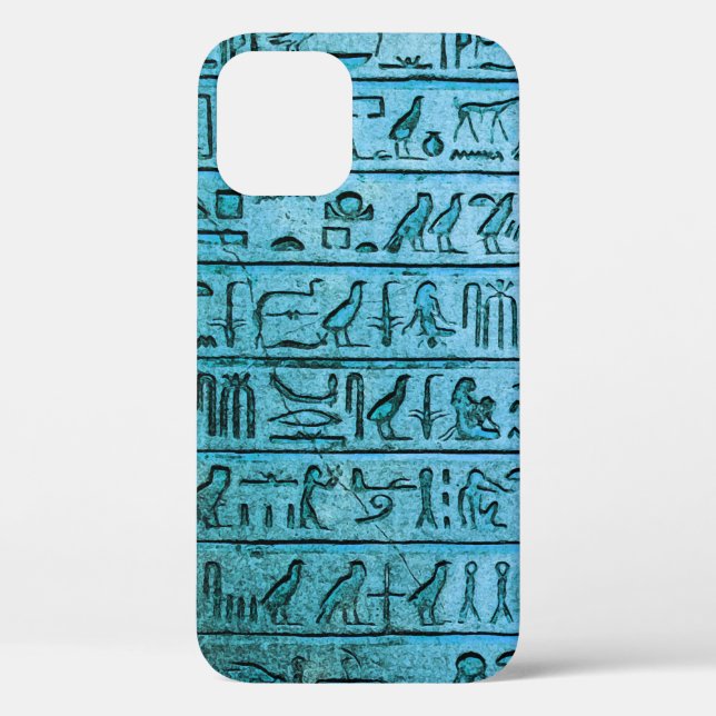 Ancient Egyptian Hieroglyphs Blue iPhone 12 Case (Back)