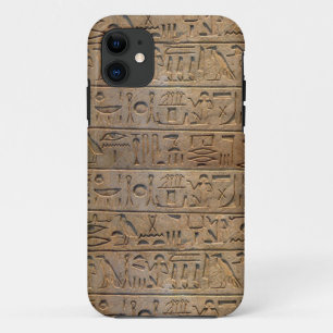 Ancient Egyptian Hieroglyphs Designer Case