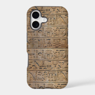 Ancient Egyptian Hieroglyphs Designer Case