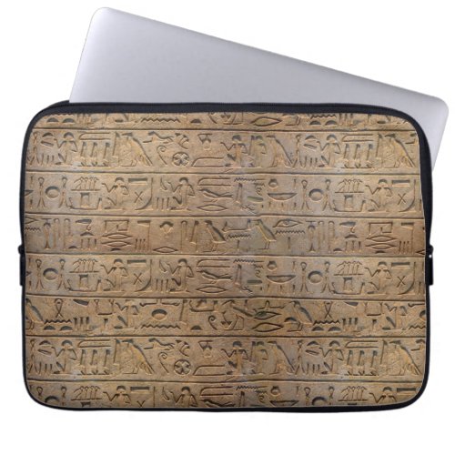 Ancient Egyptian Hieroglyphs Designer Sleeve