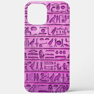 Ancient Egyptian Hieroglyphs - Purple iPhone 12 Pro Max Case