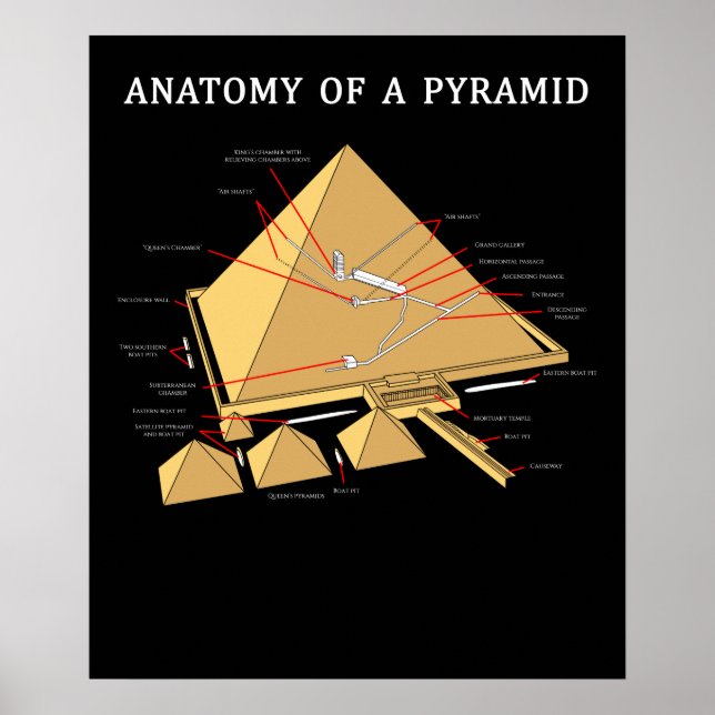 Ancient Egyptian Pyramid Anatomy Archeology Poster (Front)