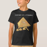 Ancient Egyptian Pyramid Anatomy Archeology