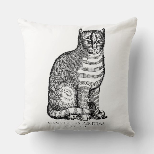 Ancient Fuzzy Cat Throw Pillow (Front)