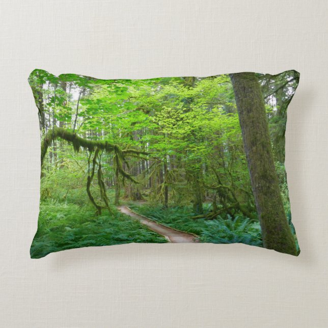Ancient Groves Trail at Olympic National Park Accent Pillow (Front)