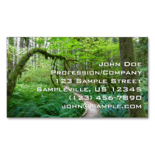 Ancient Groves Trail at Olympic National Park Business Card Magnet