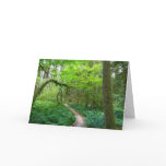 Ancient Groves Trail at Olympic National Park Card