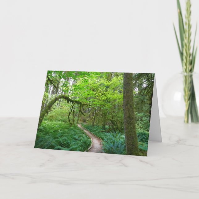 Ancient Groves Trail at Olympic National Park Card (Front)