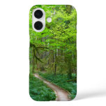 Ancient Groves Trail at Olympic National Park iPhone 16 Case