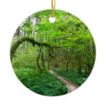 Ancient Groves Trail at Olympic National Park Ceramic Ornament