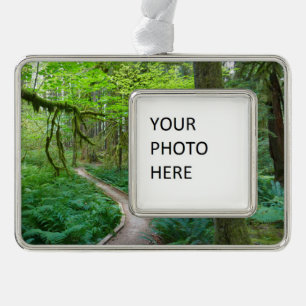 Ancient Groves Trail at Olympic National Park Christmas Ornament
