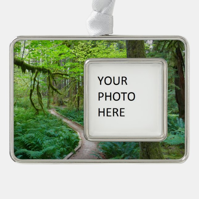 Ancient Groves Trail at Olympic National Park Christmas Ornament (Front)