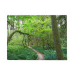 Ancient Groves Trail at Olympic National Park Doormat