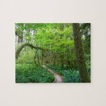 Ancient Groves Trail at Olympic National Park Jigsaw Puzzle