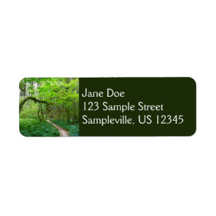 Ancient Groves Trail at Olympic National Park Label