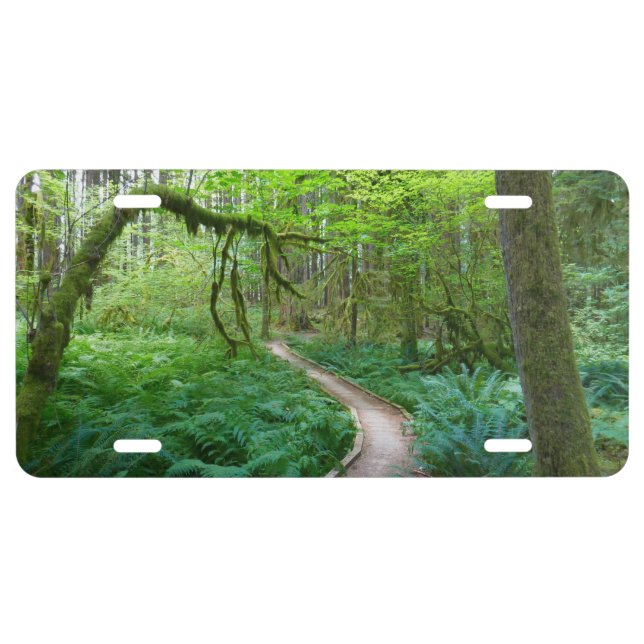 Ancient Groves Trail at Olympic National Park License Plate (Front)