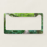 Ancient Groves Trail at Olympic National Park License Plate Frame