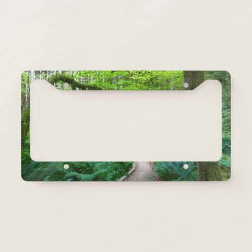 Ancient Groves Trail at Olympic National Park License Plate Frame