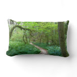 Ancient Groves Trail at Olympic National Park Lumbar Pillow