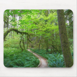 Ancient Groves Trail at Olympic National Park Mouse Pad