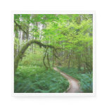 Ancient Groves Trail at Olympic National Park Napkins