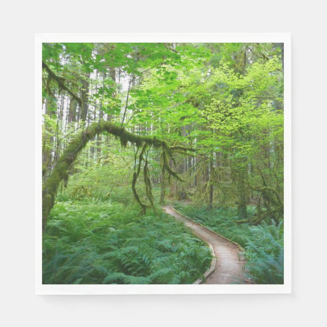 Ancient Groves Trail at Olympic National Park Napkins (Front)