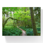 Ancient Groves Trail at Olympic National Park Paperweight