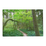Ancient Groves Trail at Olympic National Park Placemat
