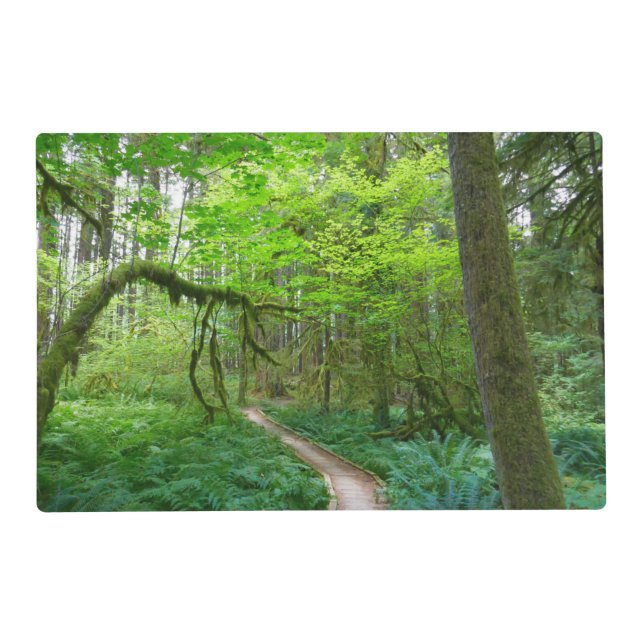 Ancient Groves Trail at Olympic National Park Placemat (Front)