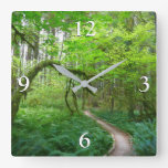 Ancient Groves Trail at Olympic National Park Square Wall Clock