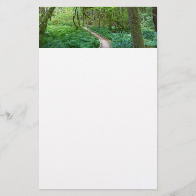 Ancient Groves Trail at Olympic National Park Stationery (Front)