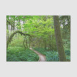 Ancient Groves Trail at Olympic National Park Tissue Paper
