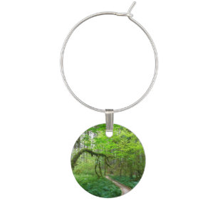 Ancient Groves Trail at Olympic National Park Wine Charm