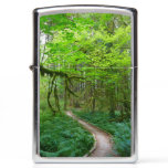 Ancient Groves Trail at Olympic National Park Zippo Lighter