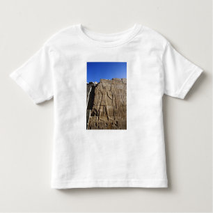 Ancient hieroglyphs on wall, Temple of Karnak, Toddler T-shirt