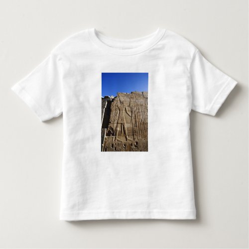 Ancient hieroglyphs on wall Temple of Karnak Toddler T_shirt