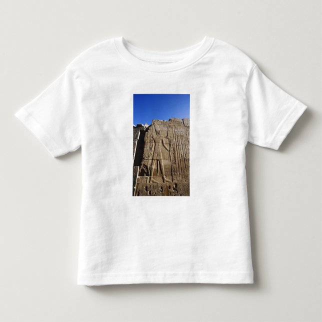 Ancient hieroglyphs on wall, Temple of Karnak, Toddler T-shirt (Front)