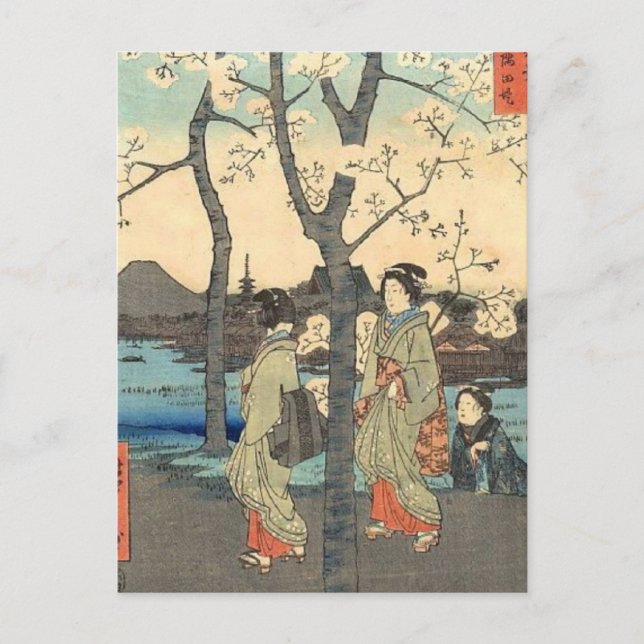 Ancient Japanese Women under Cherry Blossoms Postcard (Front)