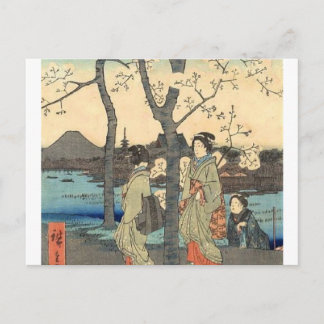Ancient Japanese Women under Cherry Blossoms Postcard