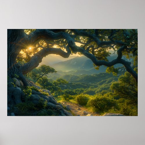 Ancient Oak Tree at Sunrise Poster