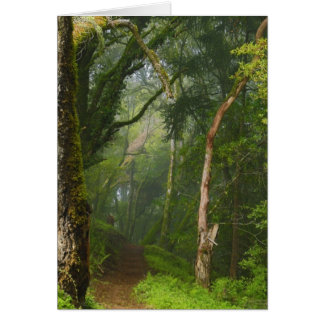 Ancient Oaks Trail Cards