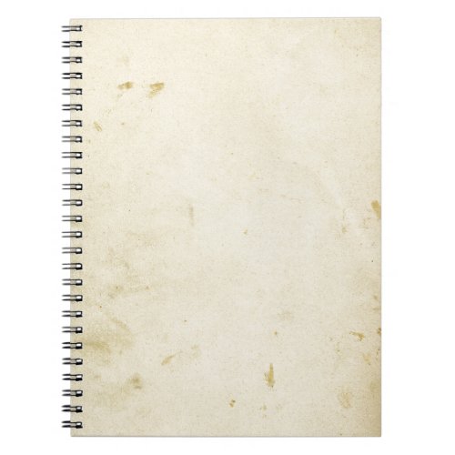 Ancient Parchment Stained Yellowed Vintage Blank Notebook