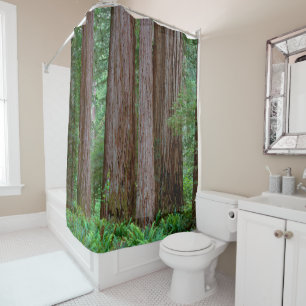 Ancient Redwoods Towering Shower Curtain