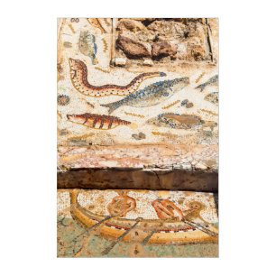 Ancient Roman Mosaic Acrylic Print