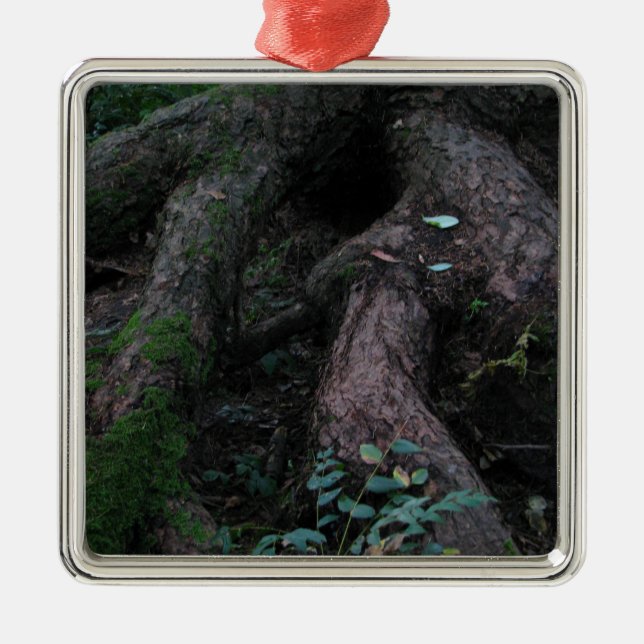 Ancient Roots Metal Ornament (Front)
