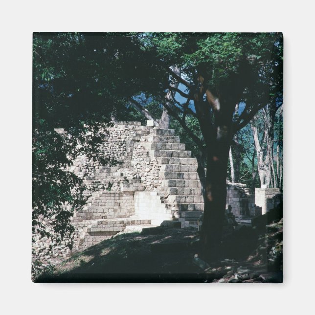 Ancient Ruins of Copan Honduras Mayan Culture Magnet (Front)