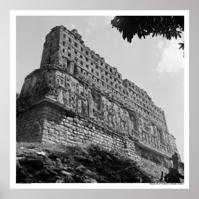 Ancient Ruins: Temple 33 of Yaxchilan Poster (Front)