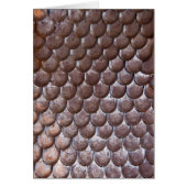 Ancient scale armor (Front)