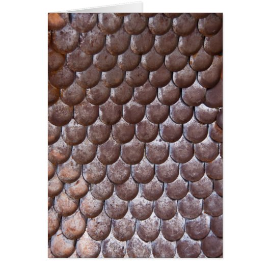 Ancient scale armor (Front)